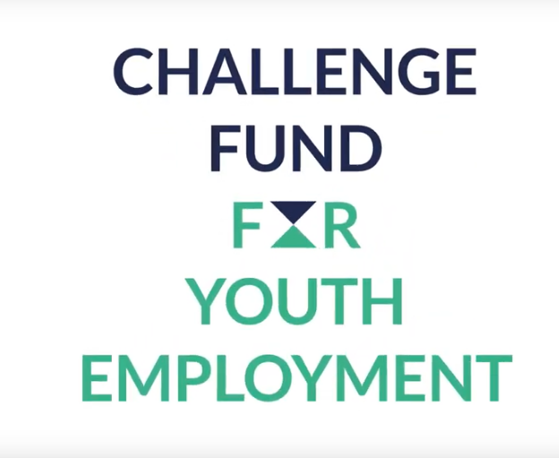 Challenge Fund For Youth Employment Application