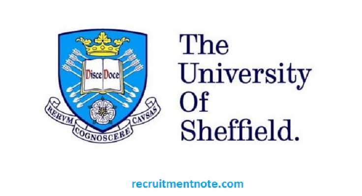 university of sheffield allan and nesta ferguson scholarship 2024