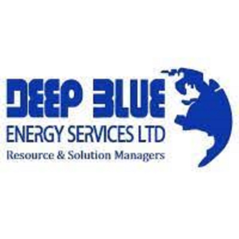 Deep Blue Energy Services Limited Job Recruitment for Marine ...