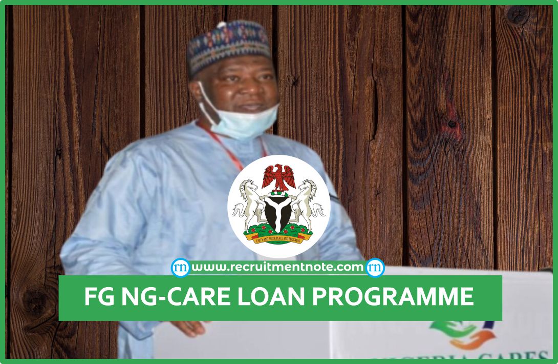 NG CARES Loan Program Update As FG Reimbursed States And FCT With N45 ...